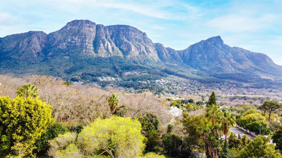 0 Bedroom Property for Sale in Bishopscourt Western Cape